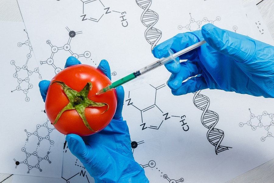 How Gene Editing Tools Were Used To Make Stress-Relieving Tomatoes, Agenda Life Sciences