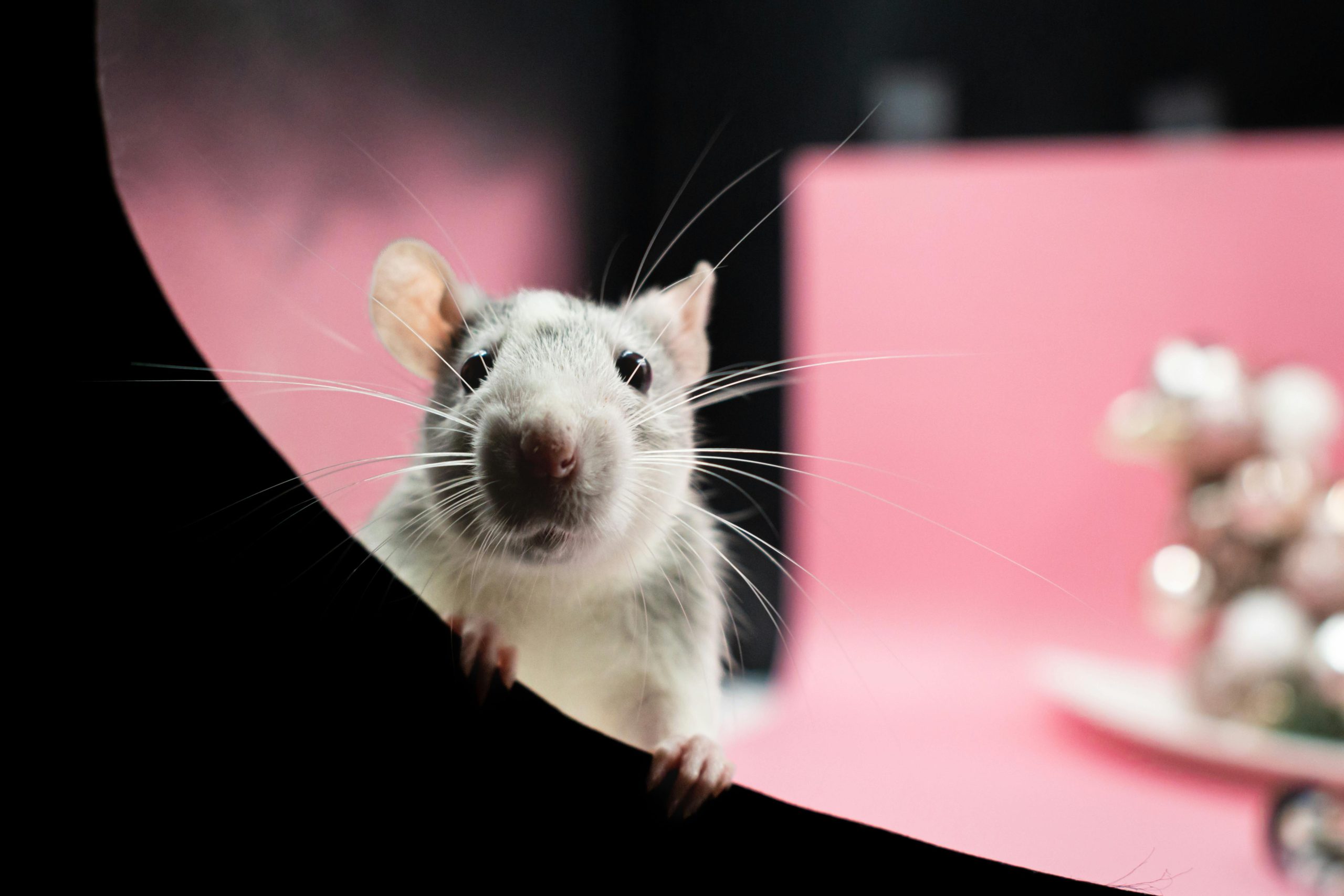 In-Vivo Research, In Vivo Facility Management Solutions, Agenda Facility Management